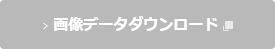 画像データダウンロード